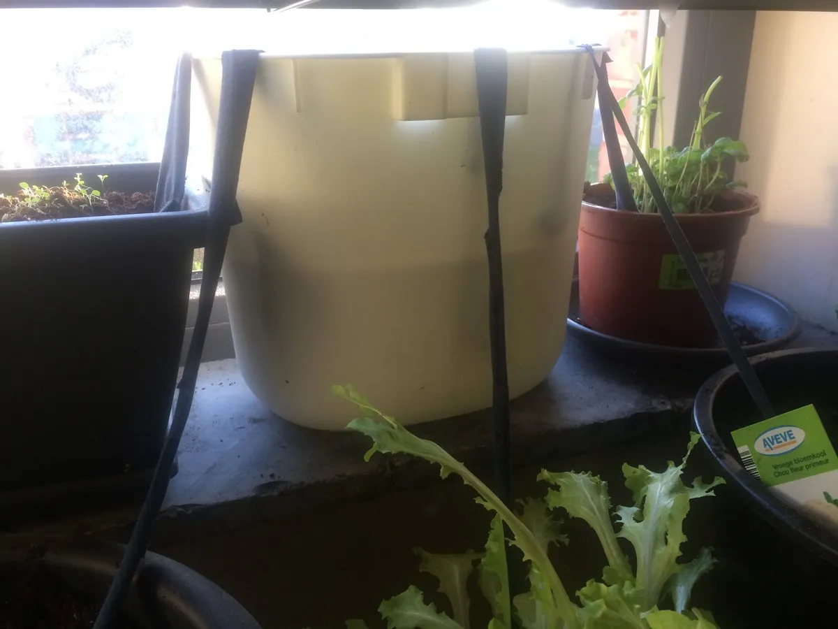 diy self-watering system example.jpg