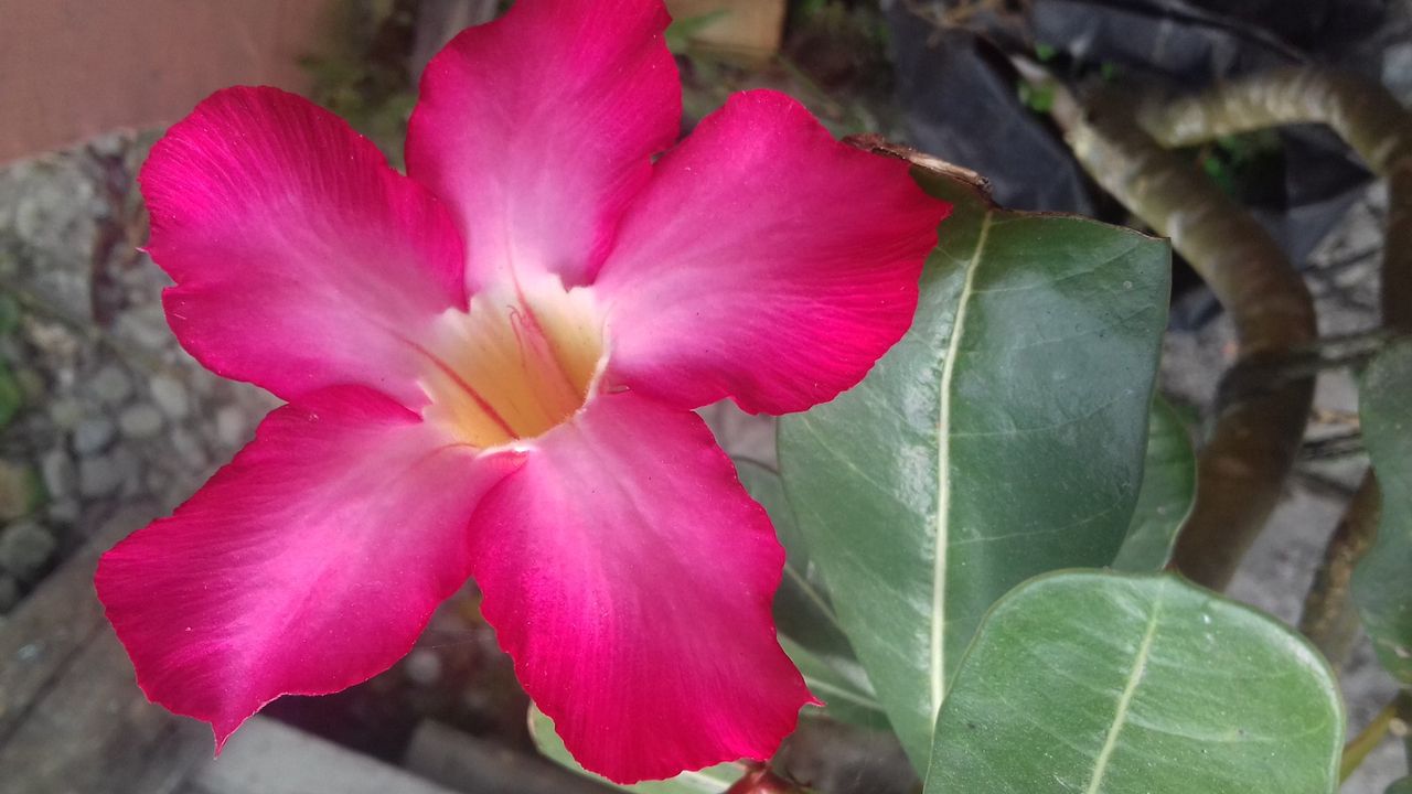 20180219_153048.jpg