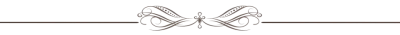 Trenner groß.png