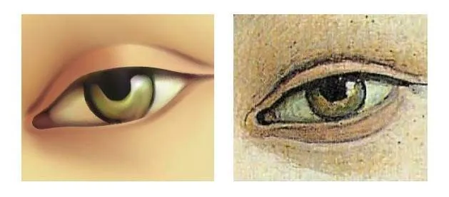 Vector-bitmap.jpg