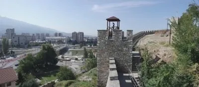 10020350.JPG