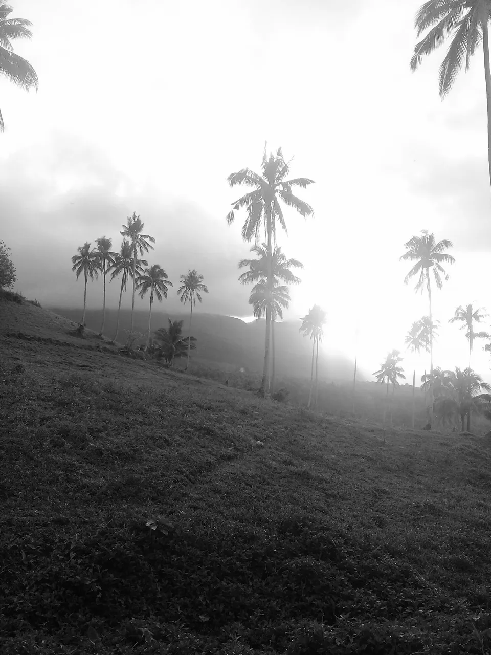 20180222_145302.jpg