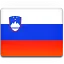 Slovenia-Flag.png