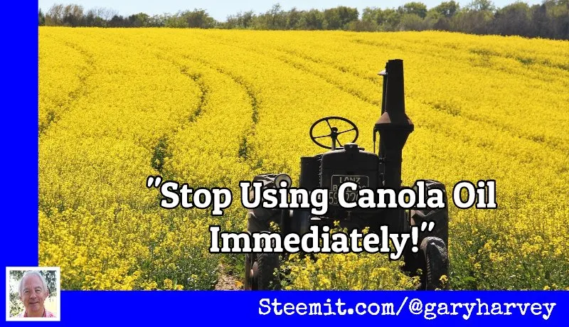 thumb-canola.jpg