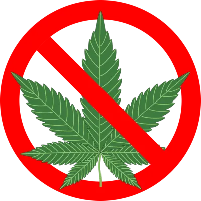 cannabis-1254745_1280.png