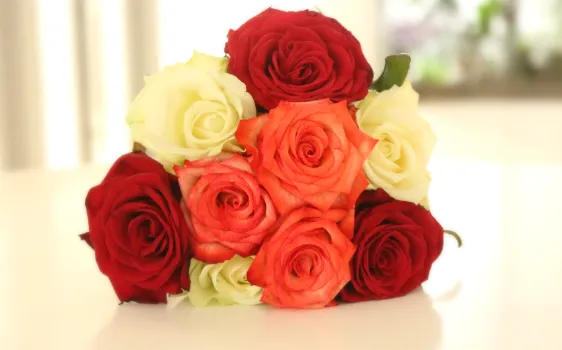 969b08b2-416e-44be-ad20-d2f5e7dac440.png