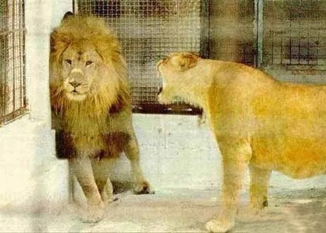 Life_after_marriage1.jpg