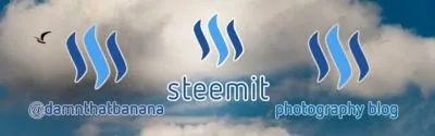 Steemit footer new.jpg