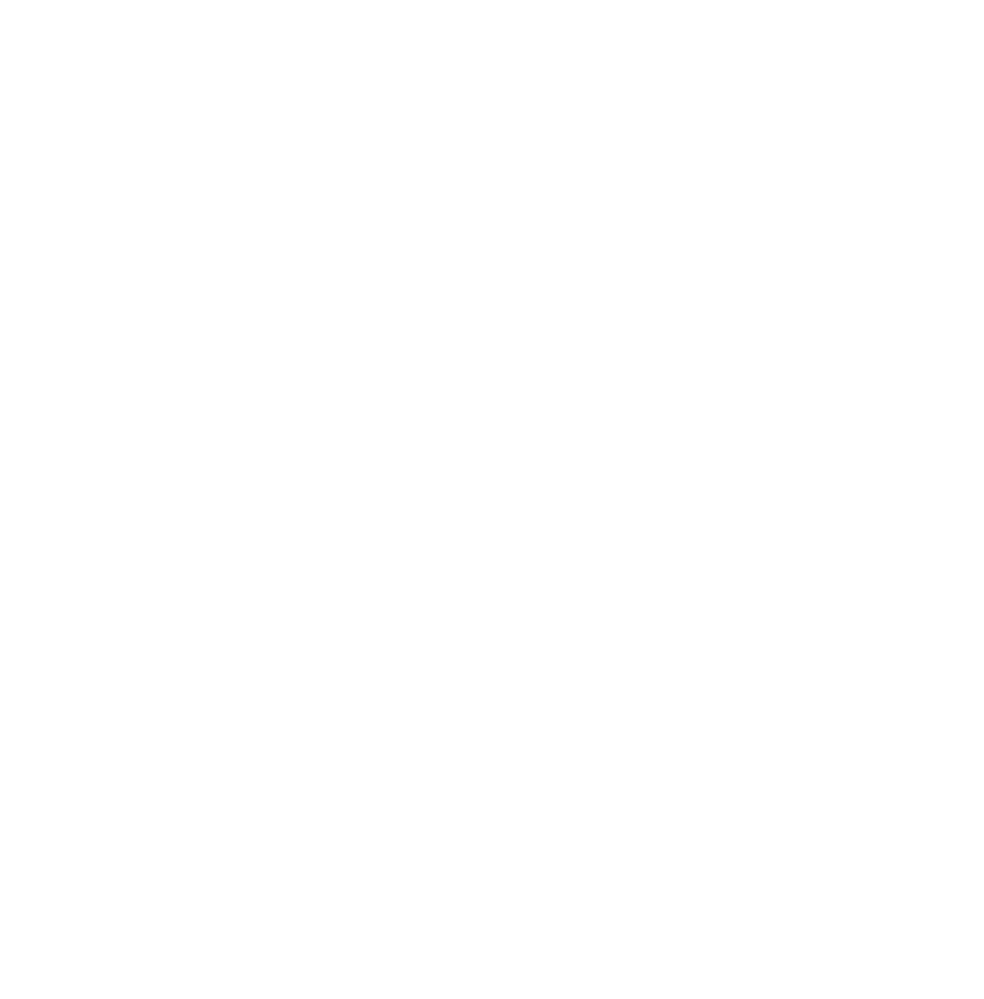 logotype white.png