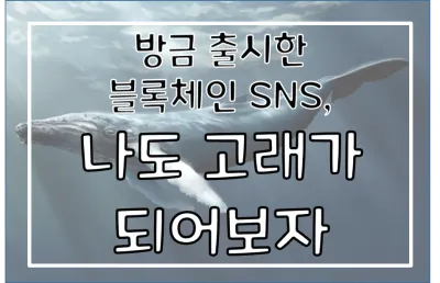 그림1.png