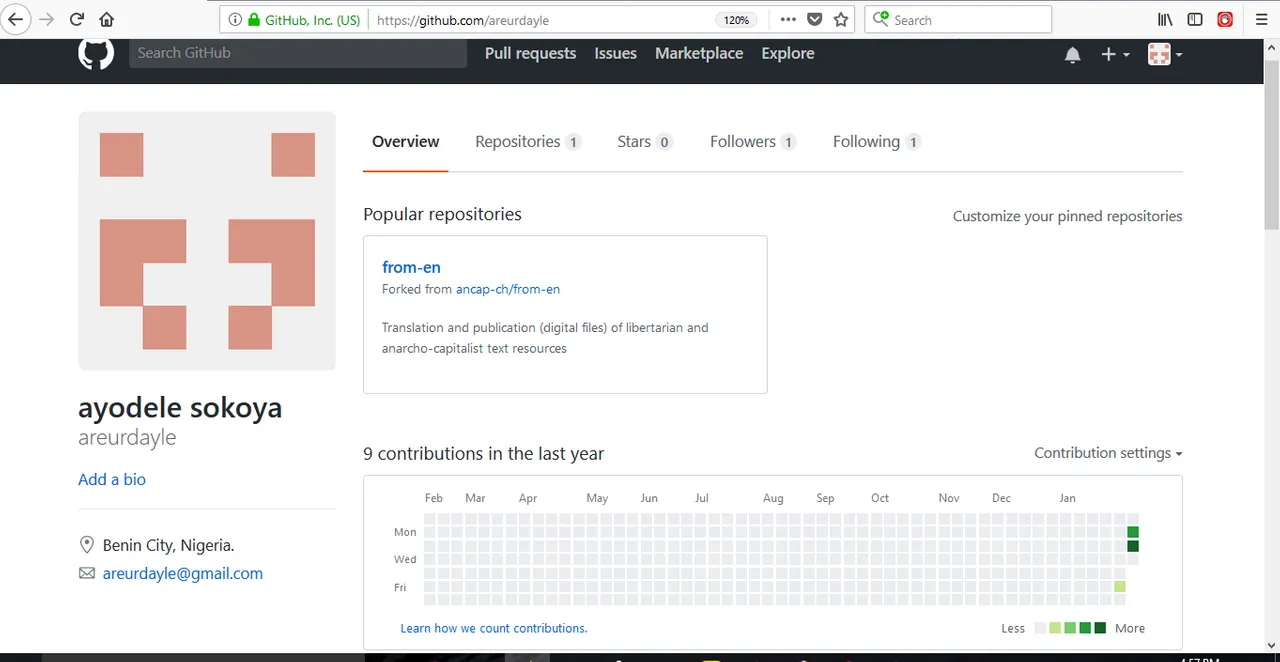 github profile.PNG