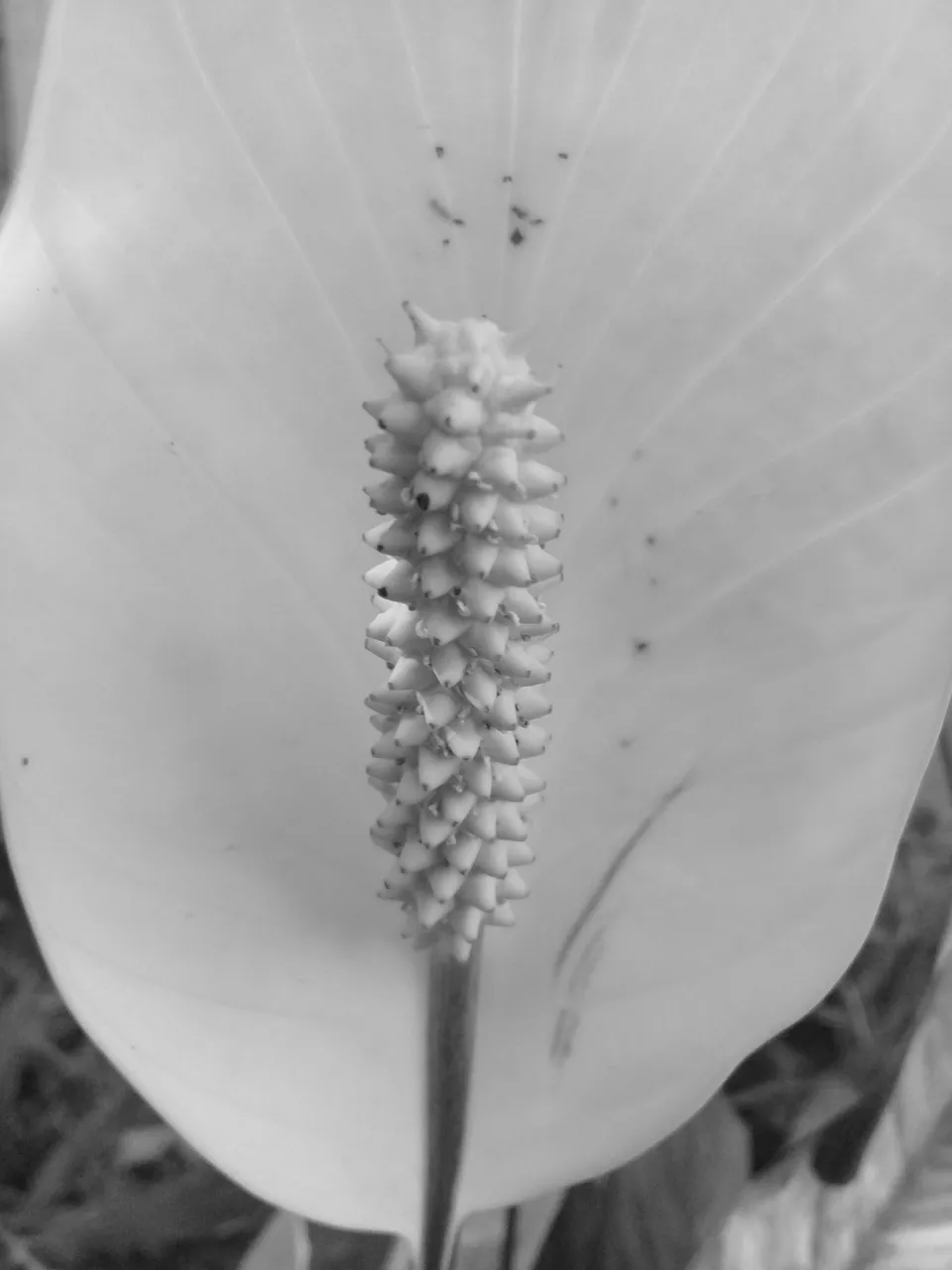 20180305_195626.jpg