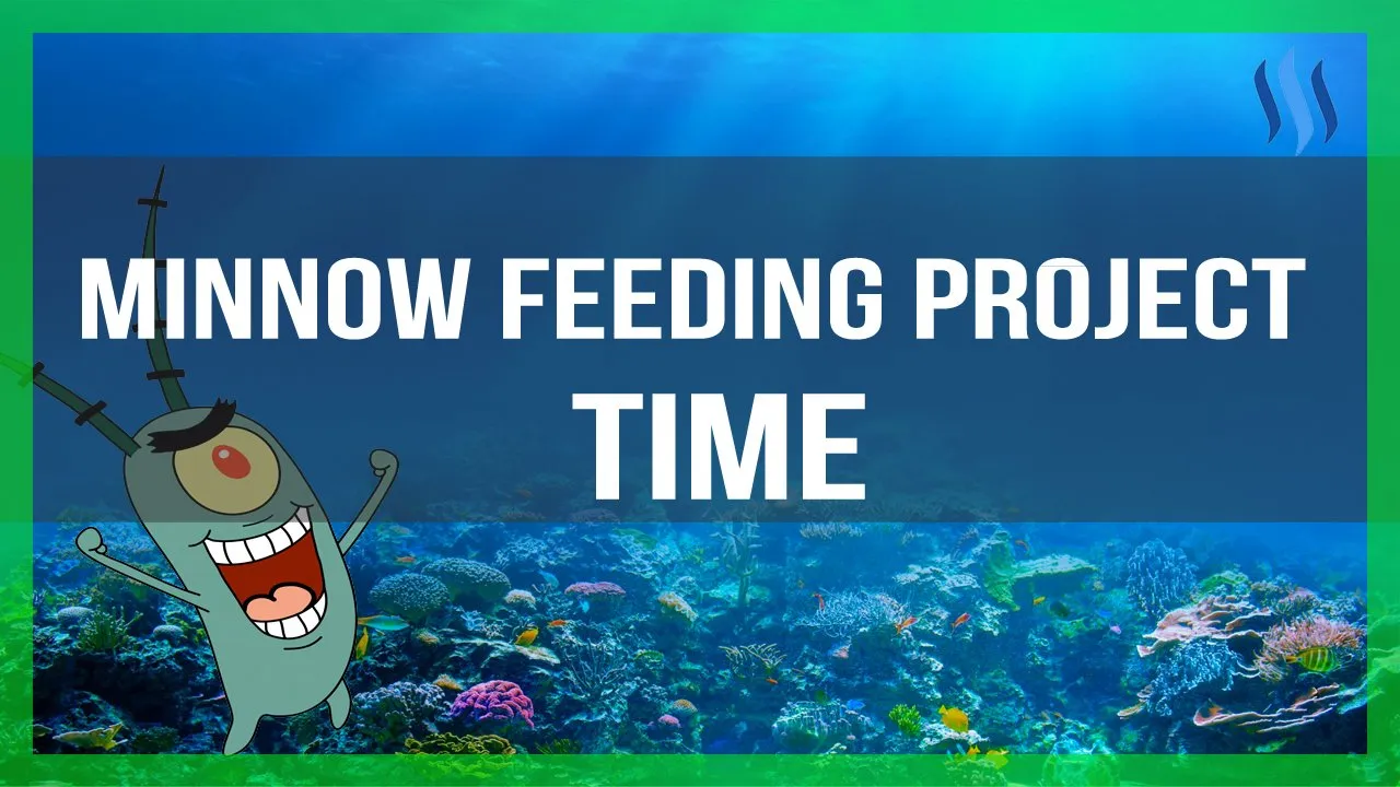 Minnow Feeding Project.jpg