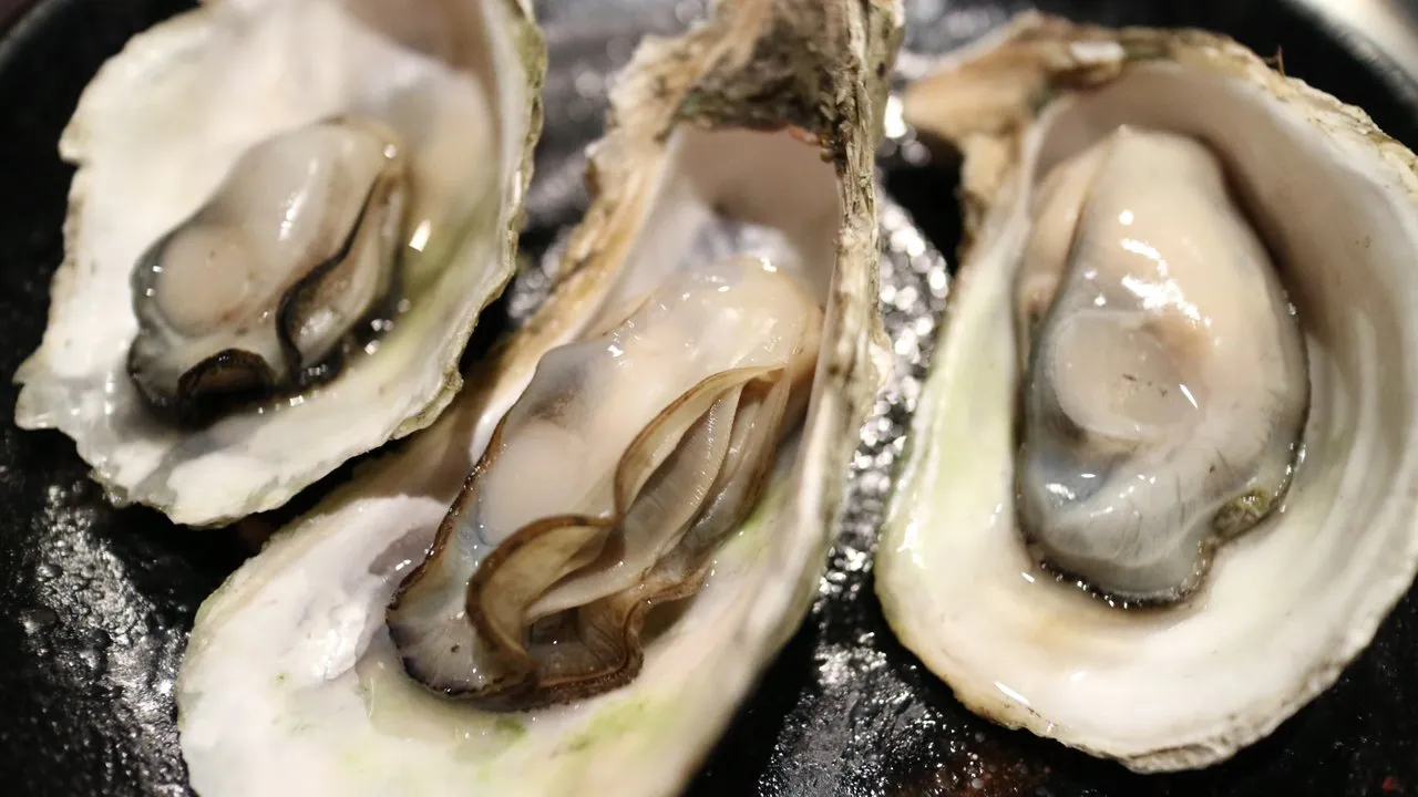 food-oyster-seafood-barbecue-shell-invertebrate-684704-pxhere.com.jpg