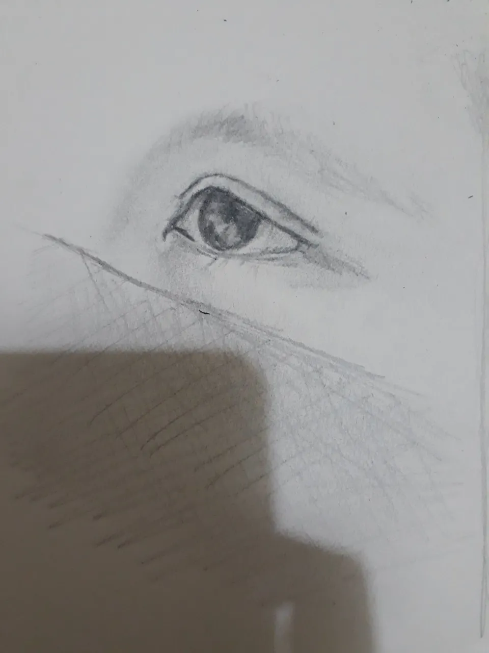 20180113_134130.jpg