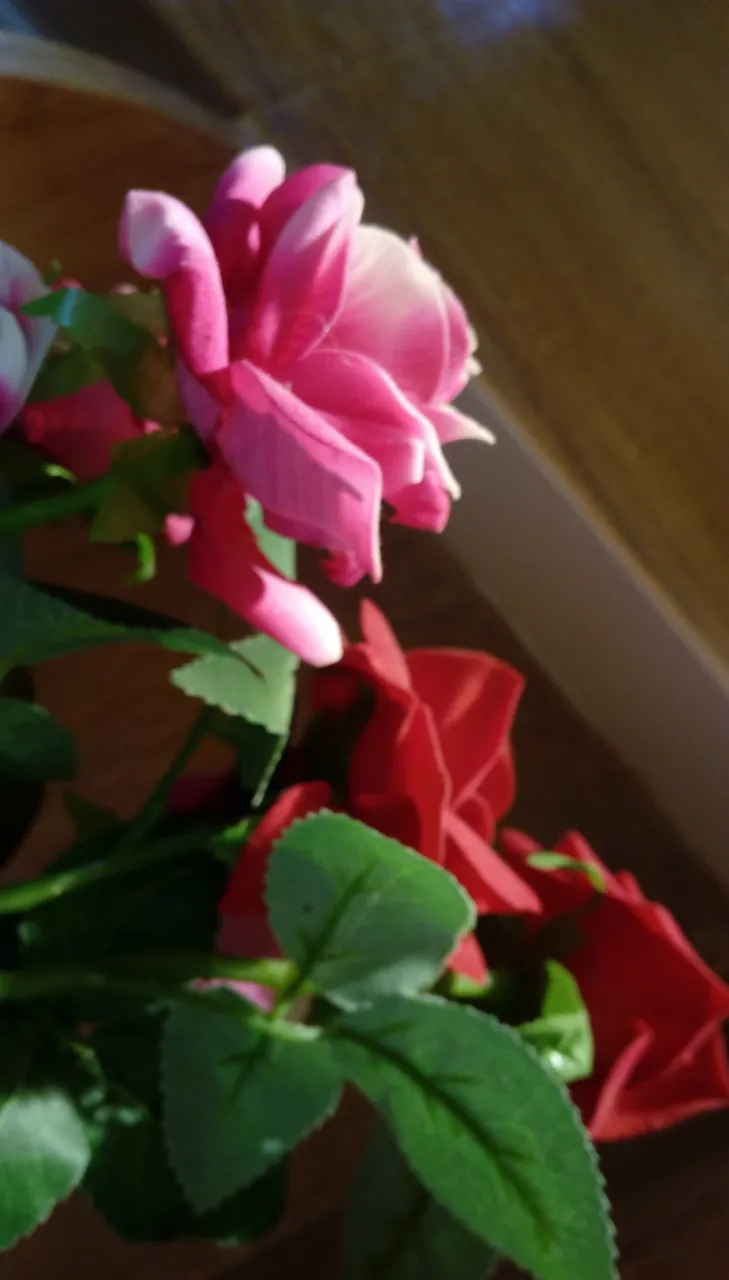 IMAG0349.jpg