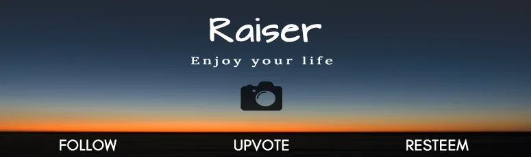 Banner Raiser v2 - Fotos.png