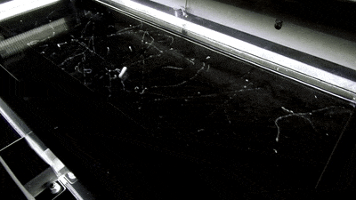 zgif. com-video-to-gif. gif