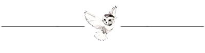 nightowlbreak1.png