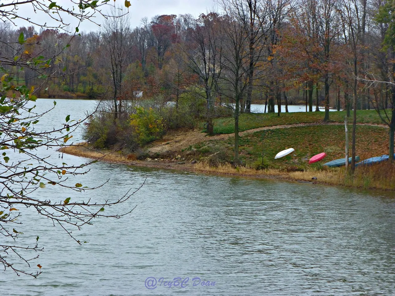 view of the reservoir 1.JPG