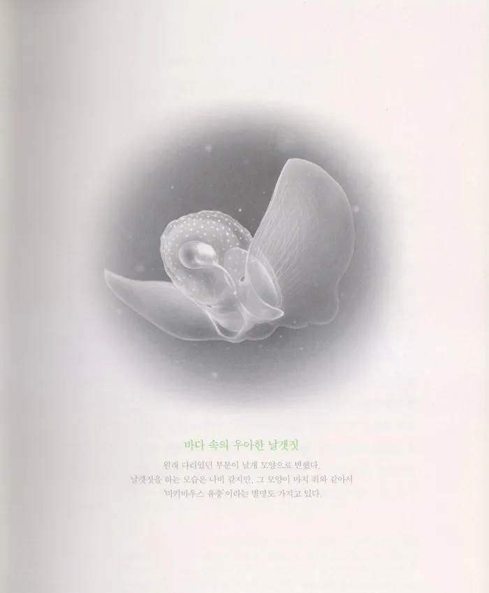 steemit_books_20180313.jpg