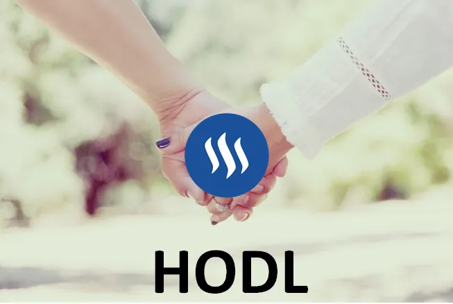 hodl.PNG