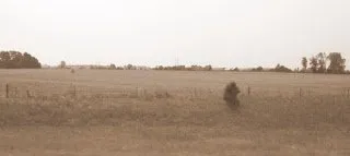 farm2 (1).jpg