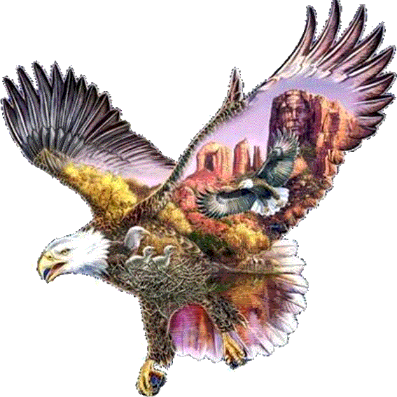American-eagle-gif.gif
