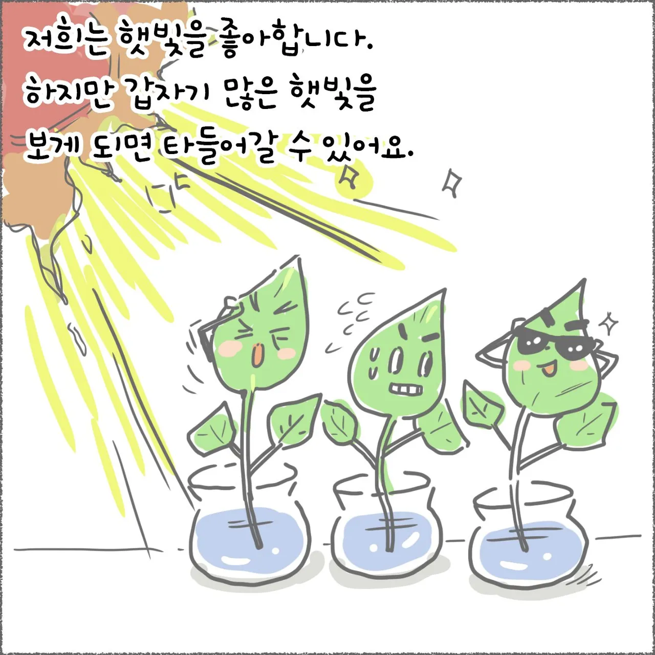 blog05_09.jpg