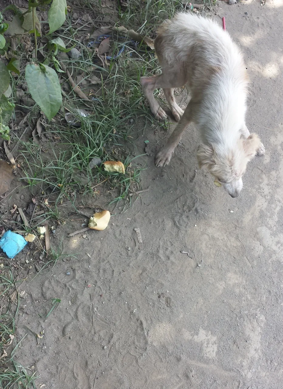 20180316_101442-01.jpeg