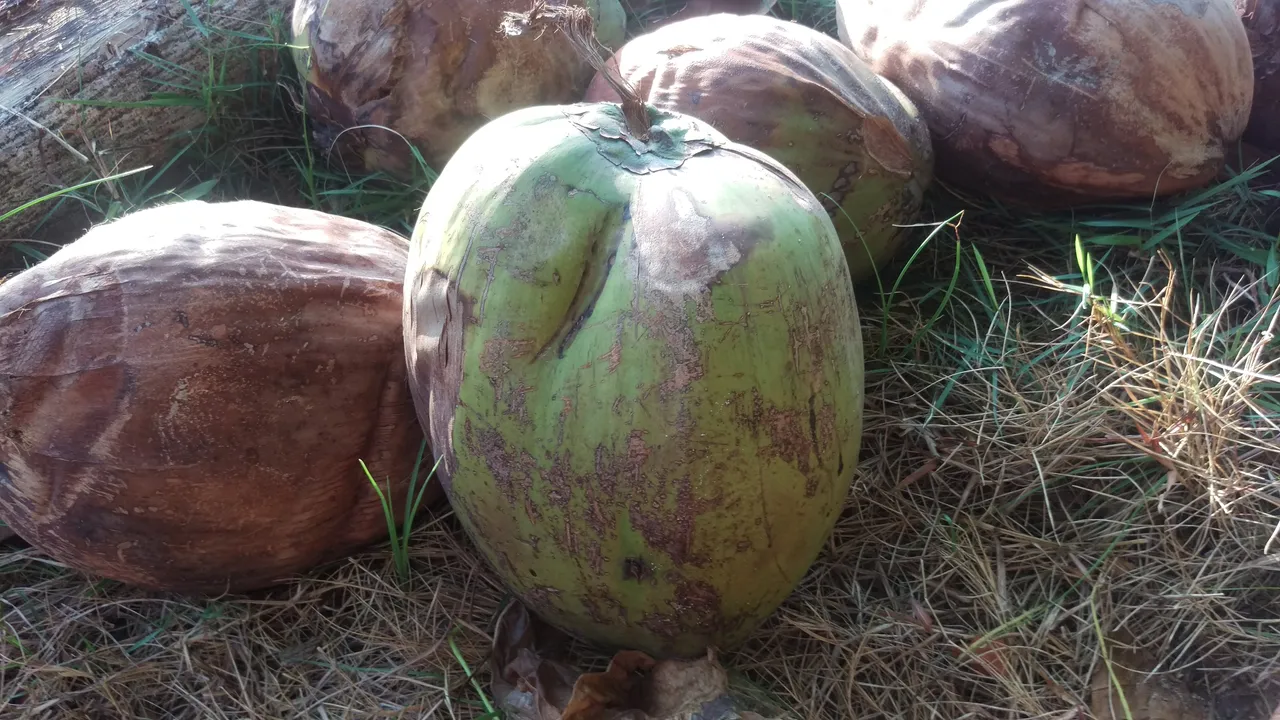 IMAG5140.jpg