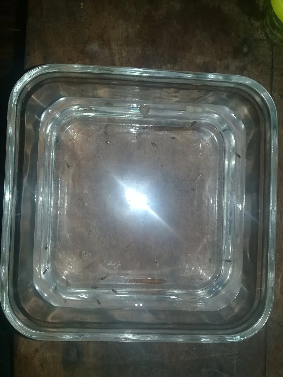 20180320_231802.jpg