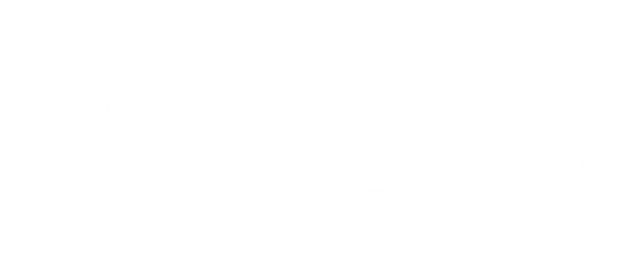 logotype white.png