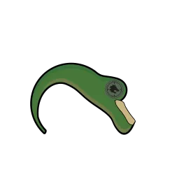 downbody_.png