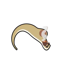 downbody_.png