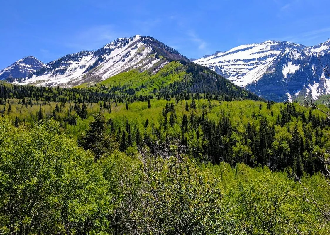 Mount Timpanogos on the Alpine Loop Rd in Utah