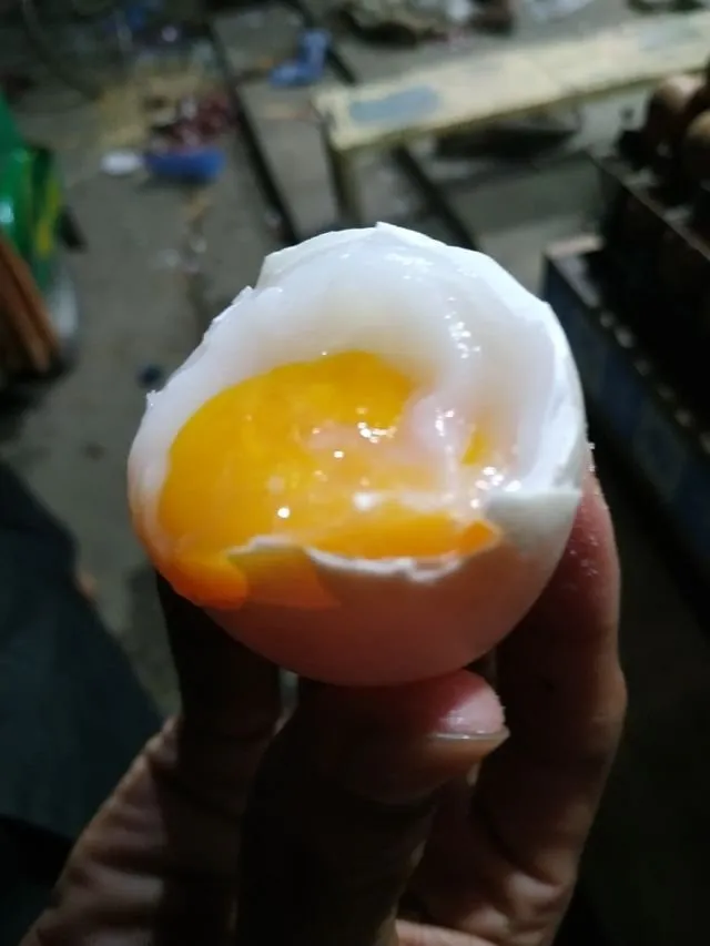 8087e5543a0881e81d8aeb9ec8cd1e68