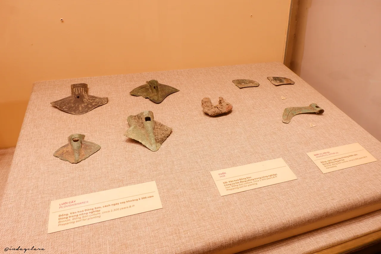DSCF2177.JPG