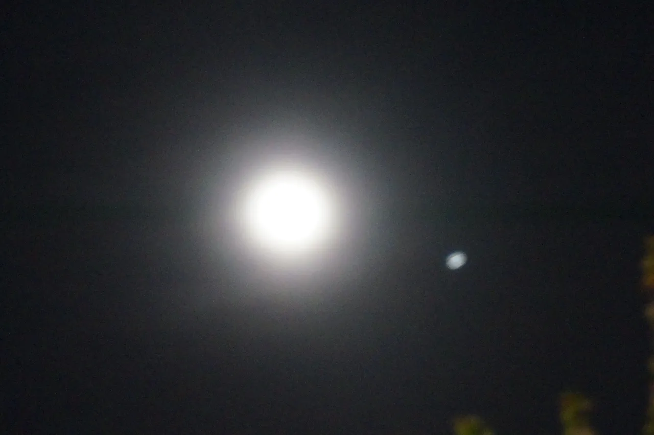 DSC09266.JPG