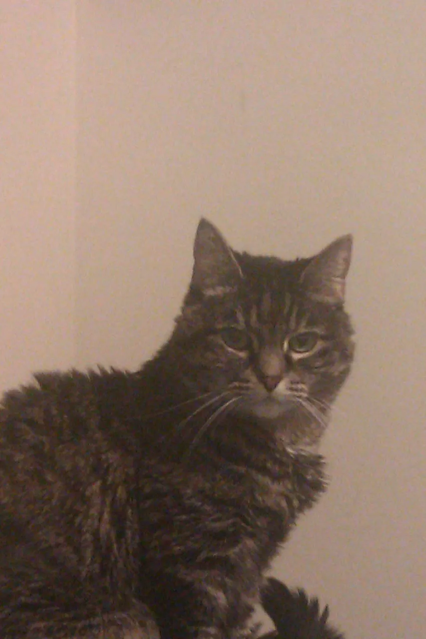 IMAG0015.jpg