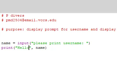 code 1.png