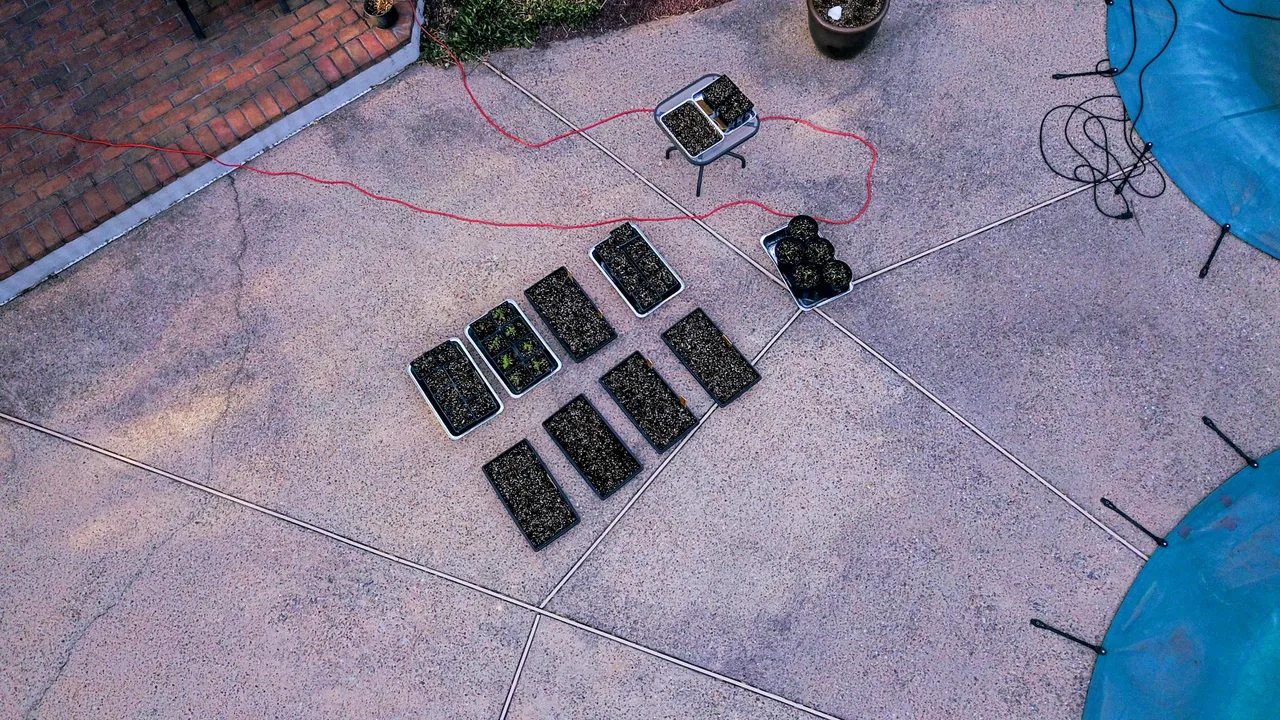 DJI_0968.jpg