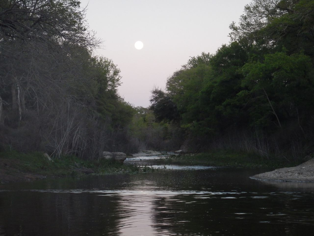 DSCN0690.JPG