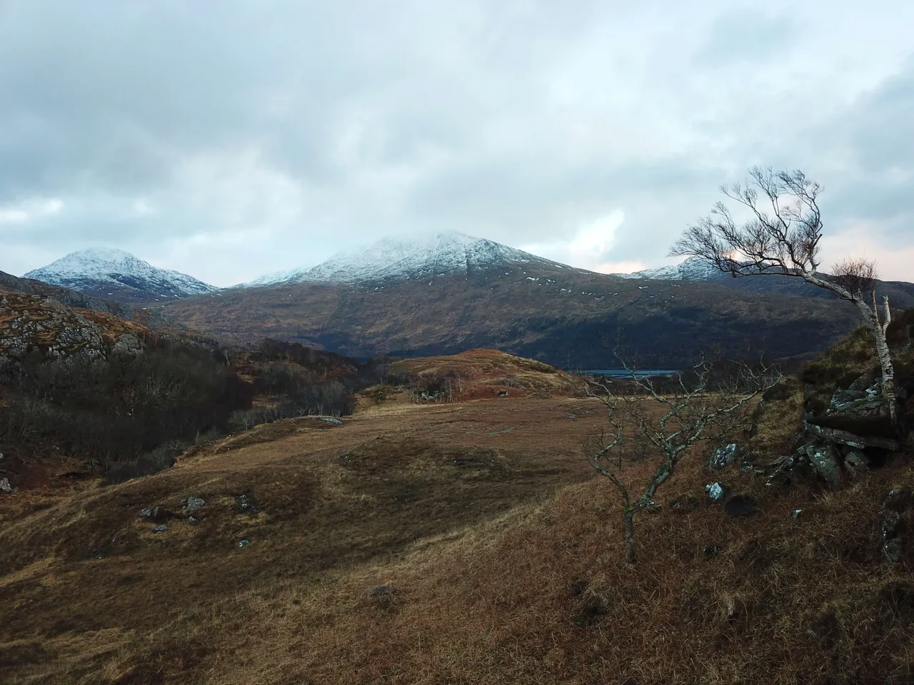 DJI_0027.jpg