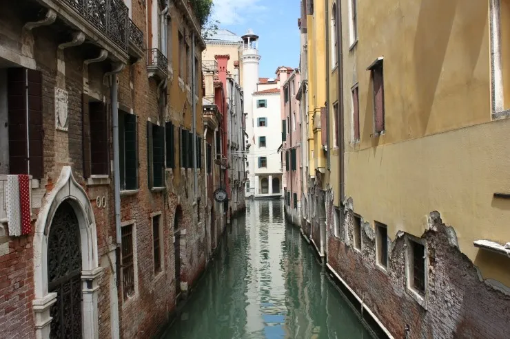 IMG_4569.jpg