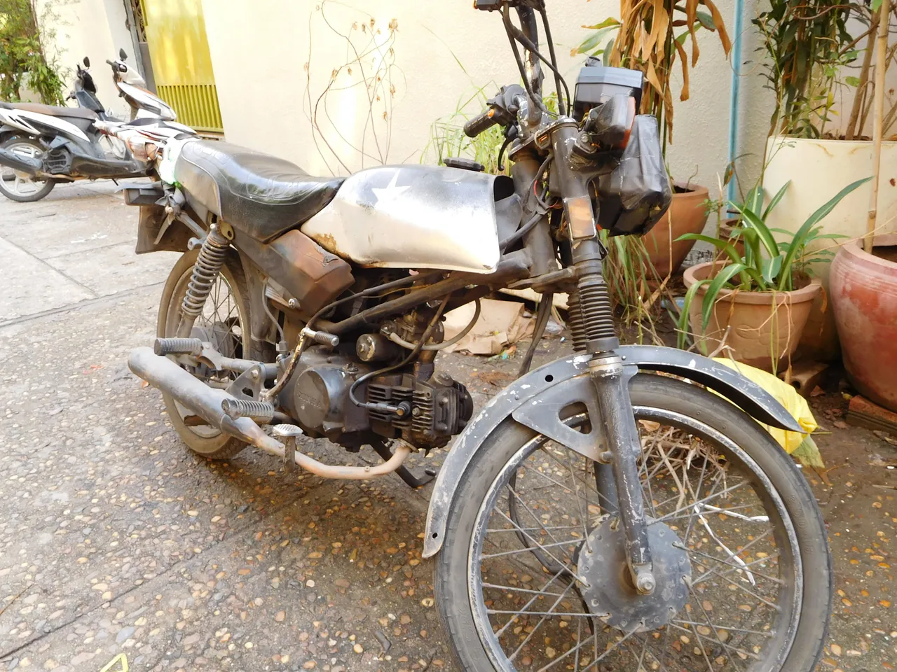 DSCN7924.JPG