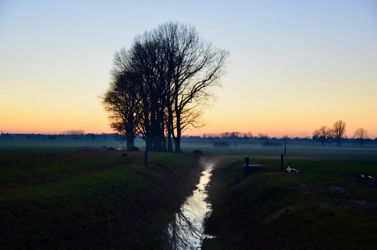 DSC_2737.jpg
