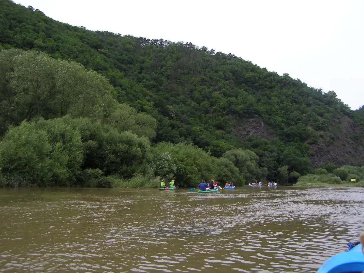 P6240436.jpg
