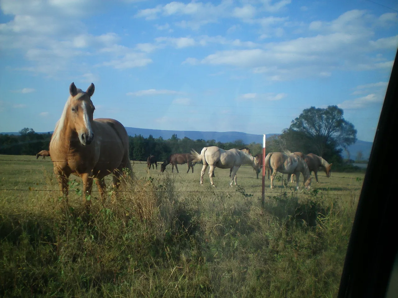 100_0080.JPG