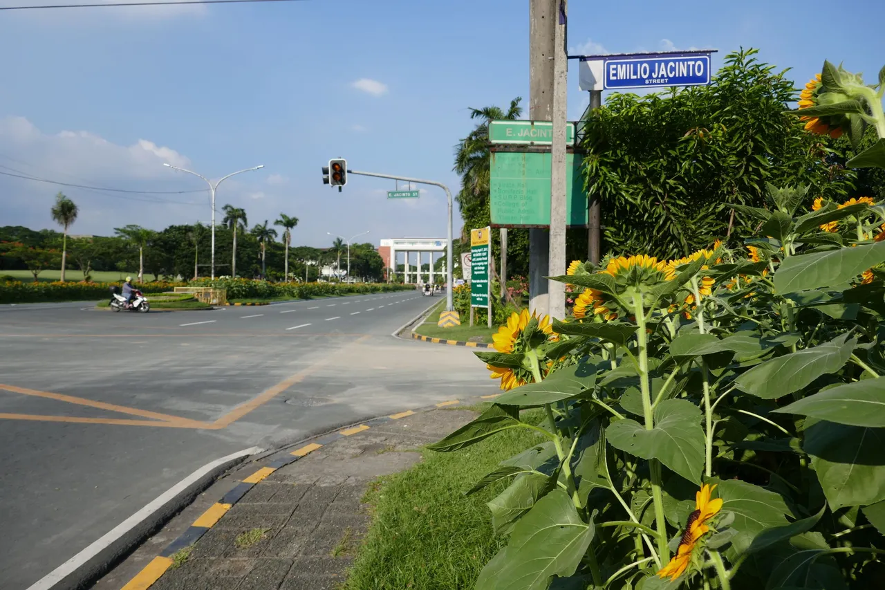 P1000953.JPG